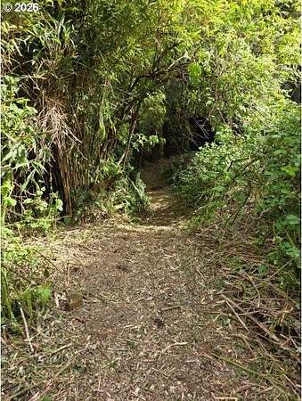 0.22 Acres of Residential Land for Sale in Cannon Beach, Oregon