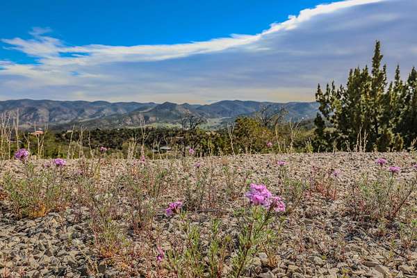 5 Acres of Residential Land for Sale in High Rolls, New Mexico