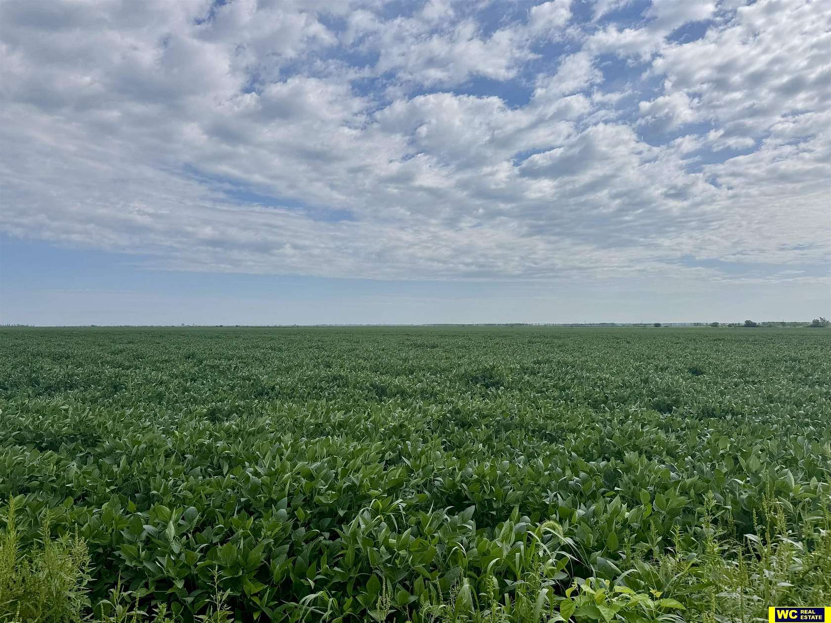 75.3 Acres of Agricultural Land for Sale in Tekamah, Nebraska
