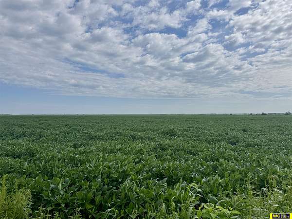 75.3 Acres of Agricultural Land for Sale in Tekamah, Nebraska