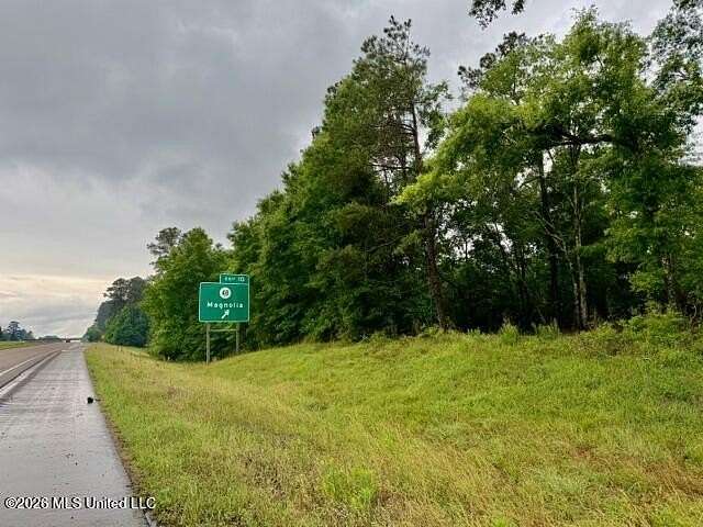 21 Acres of Commercial Land for Sale in Magnolia, Mississippi