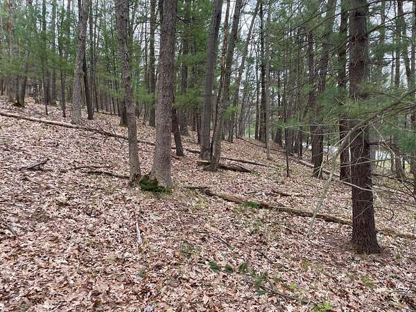 9.79 Acres of Land for Sale in Brethren, Michigan