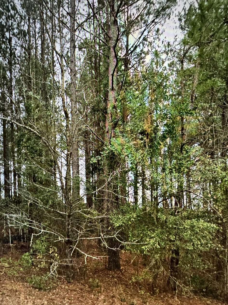 0.98 Acres of Residential Land for Sale in Sumter, South Carolina