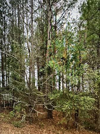 0.98 Acres of Residential Land for Sale in Sumter, South Carolina
