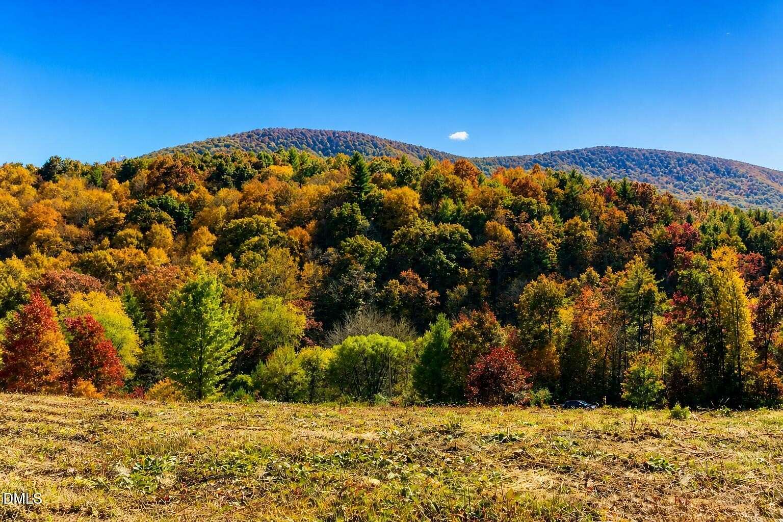 3.6 Acres of Residential Land for Sale in Sparta, North Carolina