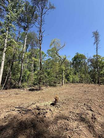 3.63 Acres of Residential Land for Sale in Greer, South Carolina