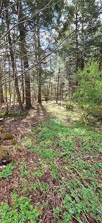 3.35 Acres of Residential Land for Sale in Milford, New York