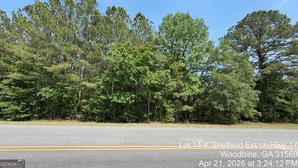 2.5 Acres of Mixed-Use Land for Sale in Woodbine, Georgia