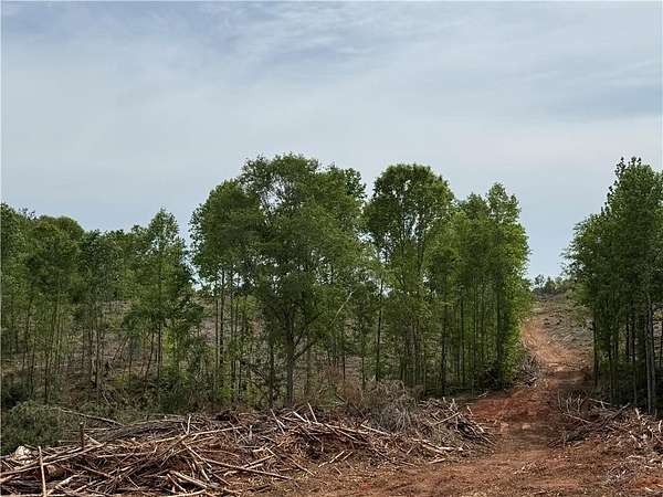 25 Acres of Commercial Land for Sale in Carrollton, Georgia