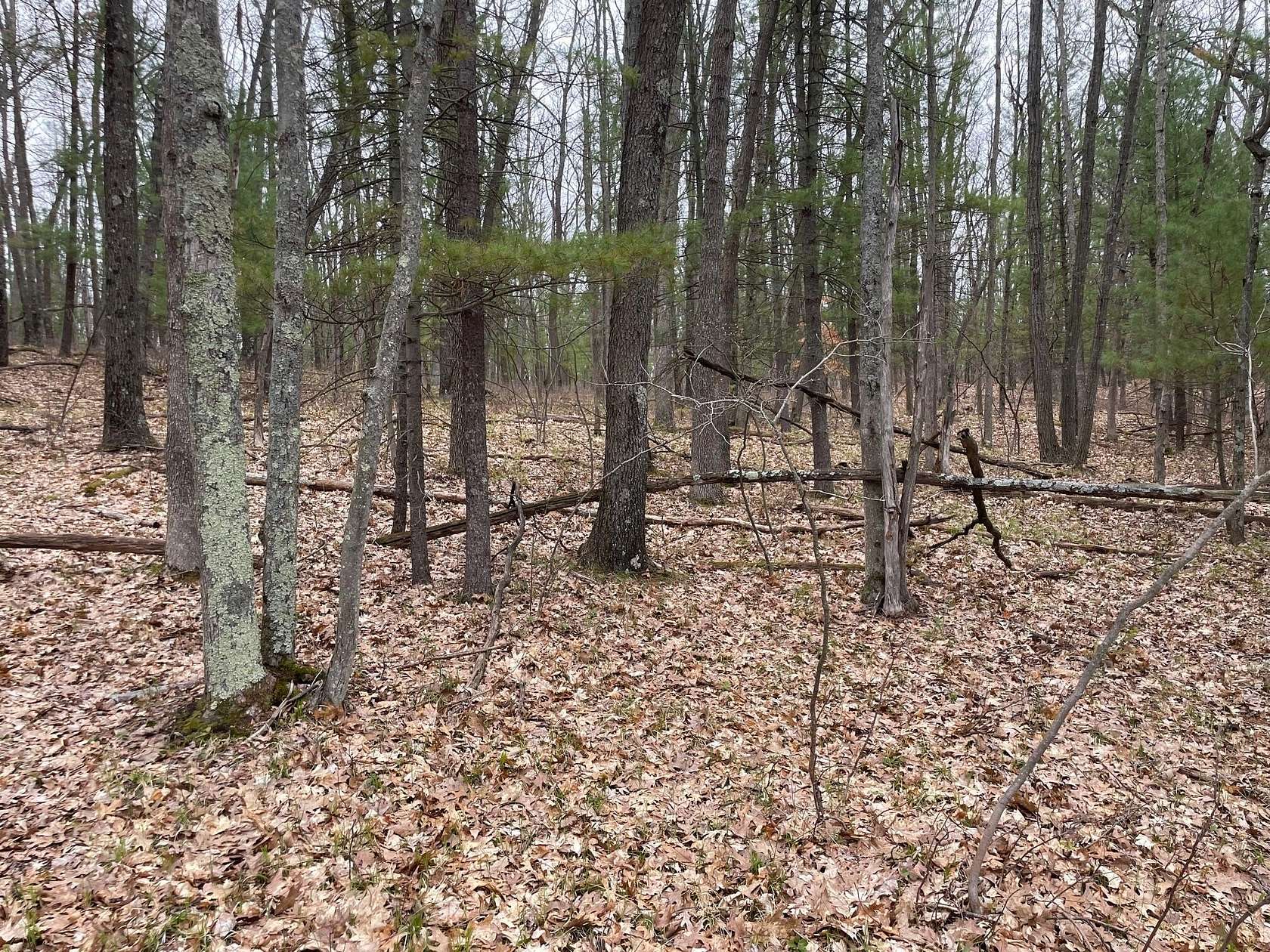 9.74 Acres of Land for Sale in Brethren, Michigan