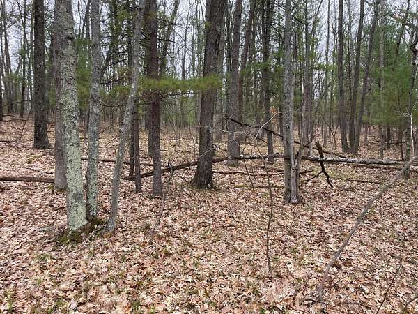 9.74 Acres of Land for Sale in Brethren, Michigan