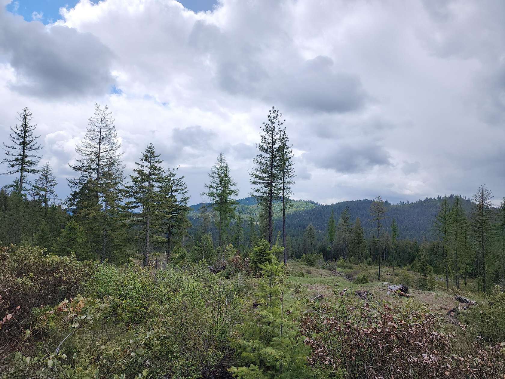 129 Acres of Land for Sale in Newport, Washington