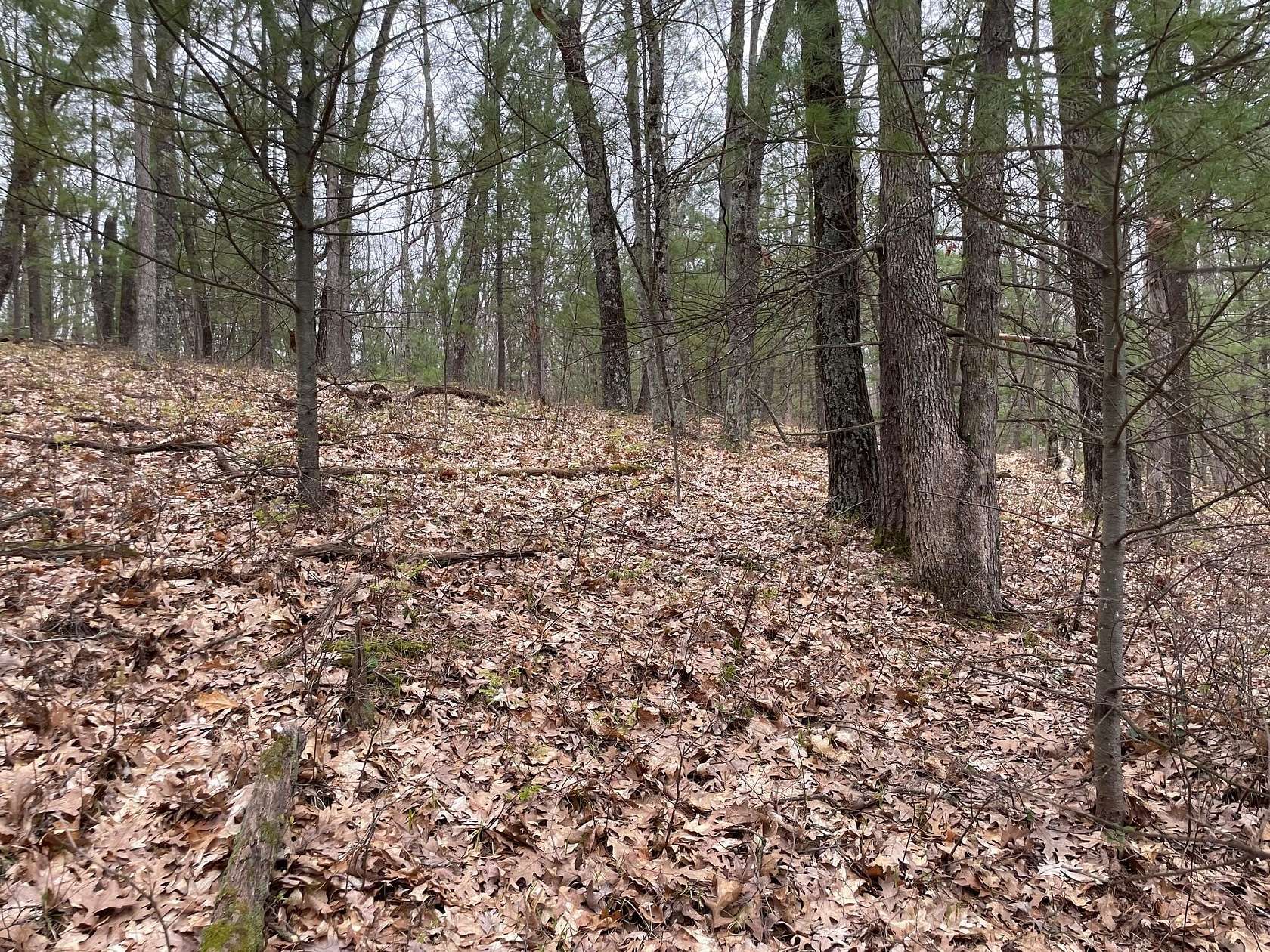 9.7 Acres of Land for Sale in Brethren, Michigan
