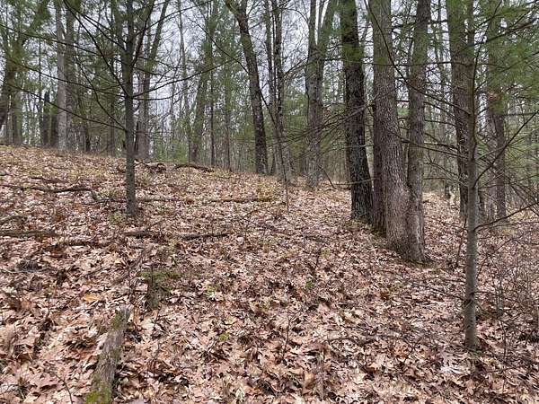 9.7 Acres of Land for Sale in Brethren, Michigan