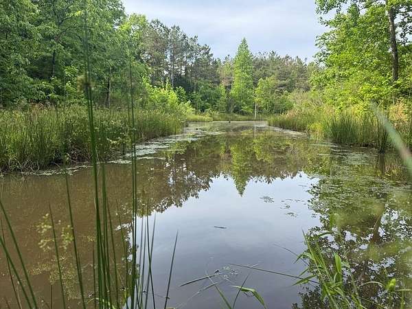 39 Acres of Recreational Land for Sale in Banner, Mississippi