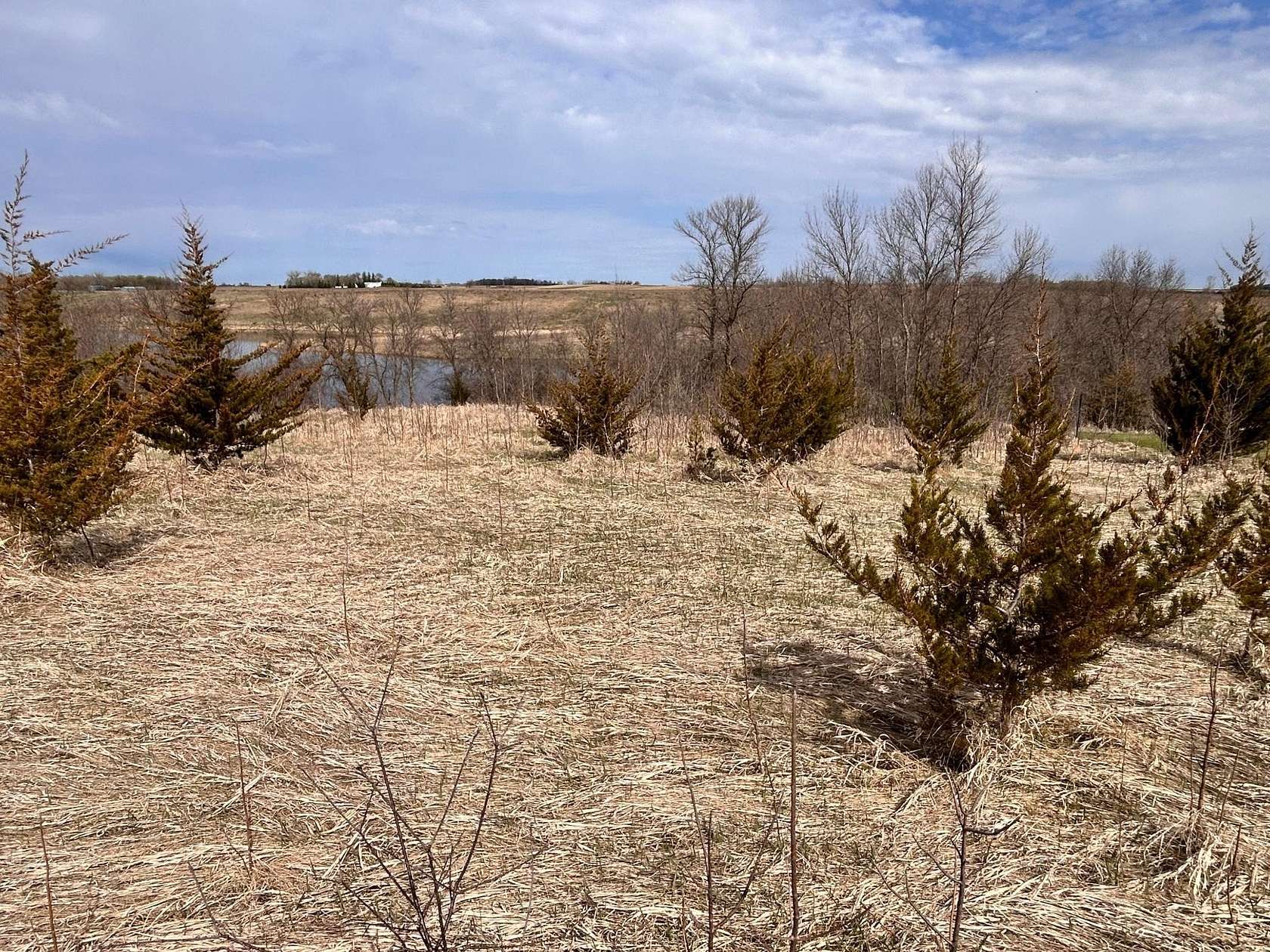 1.17 Acres of Residential Land for Sale in Barrett, Minnesota