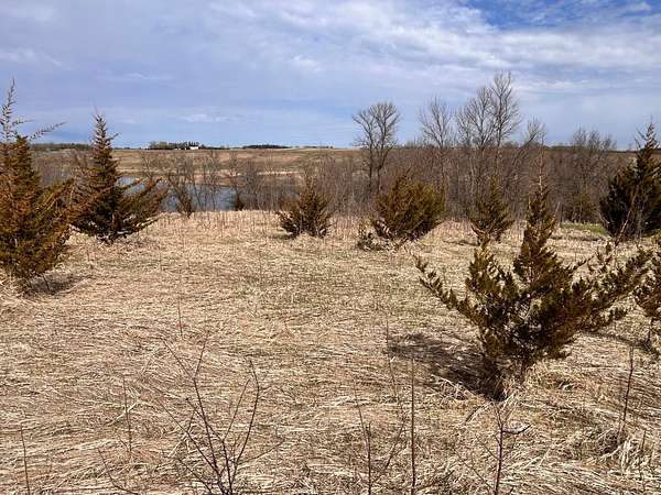 1.17 Acres of Residential Land for Sale in Barrett, Minnesota