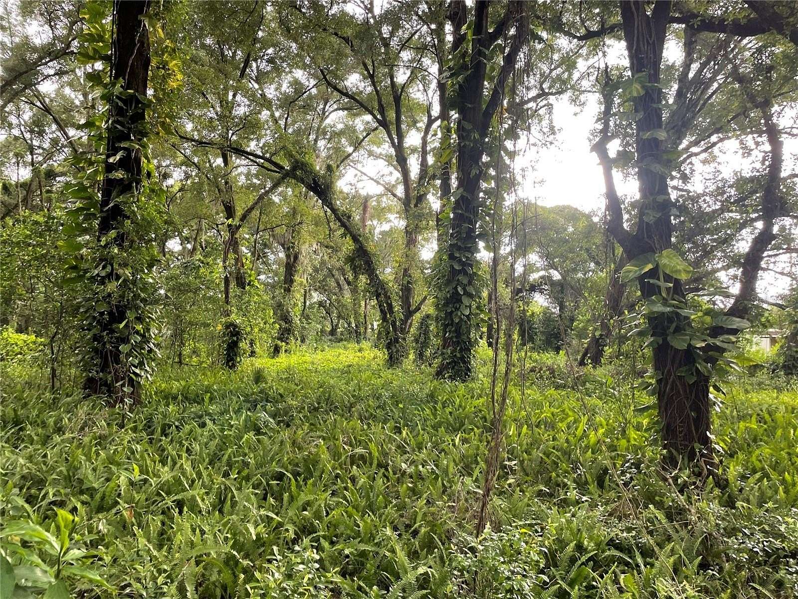 1.2 Acres of Residential Land for Sale in Seffner, Florida