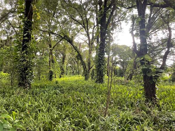 1.2 Acres of Residential Land for Sale in Seffner, Florida