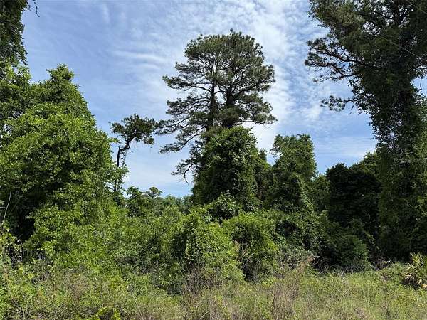 1 Acre of Residential Land for Sale in Satsuma, Florida