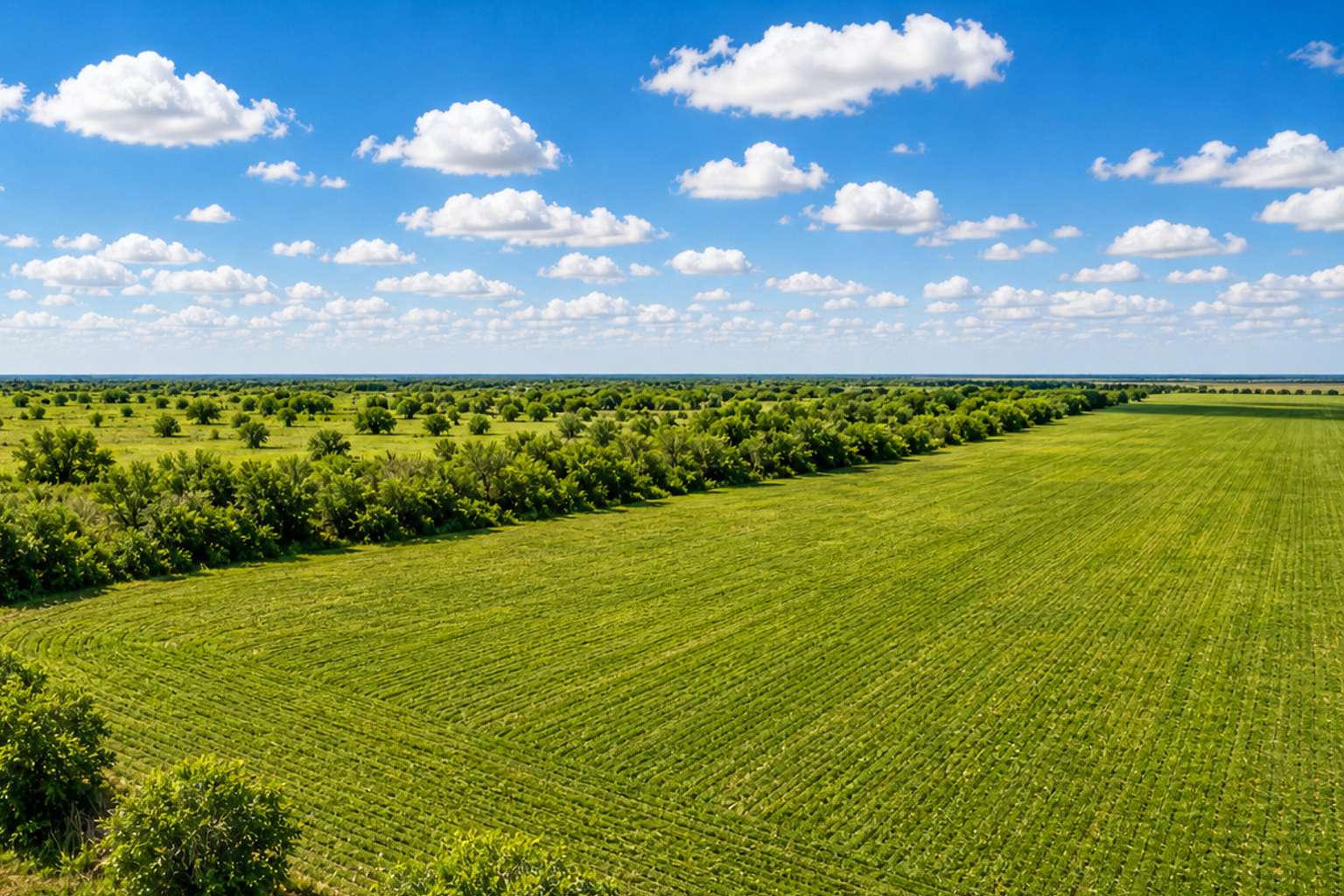 10 Acres of Land for Sale in Robstown, Texas