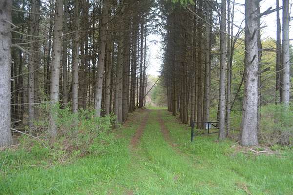 34 Acres of Recreational Land for Sale in Farmersville Station, New York