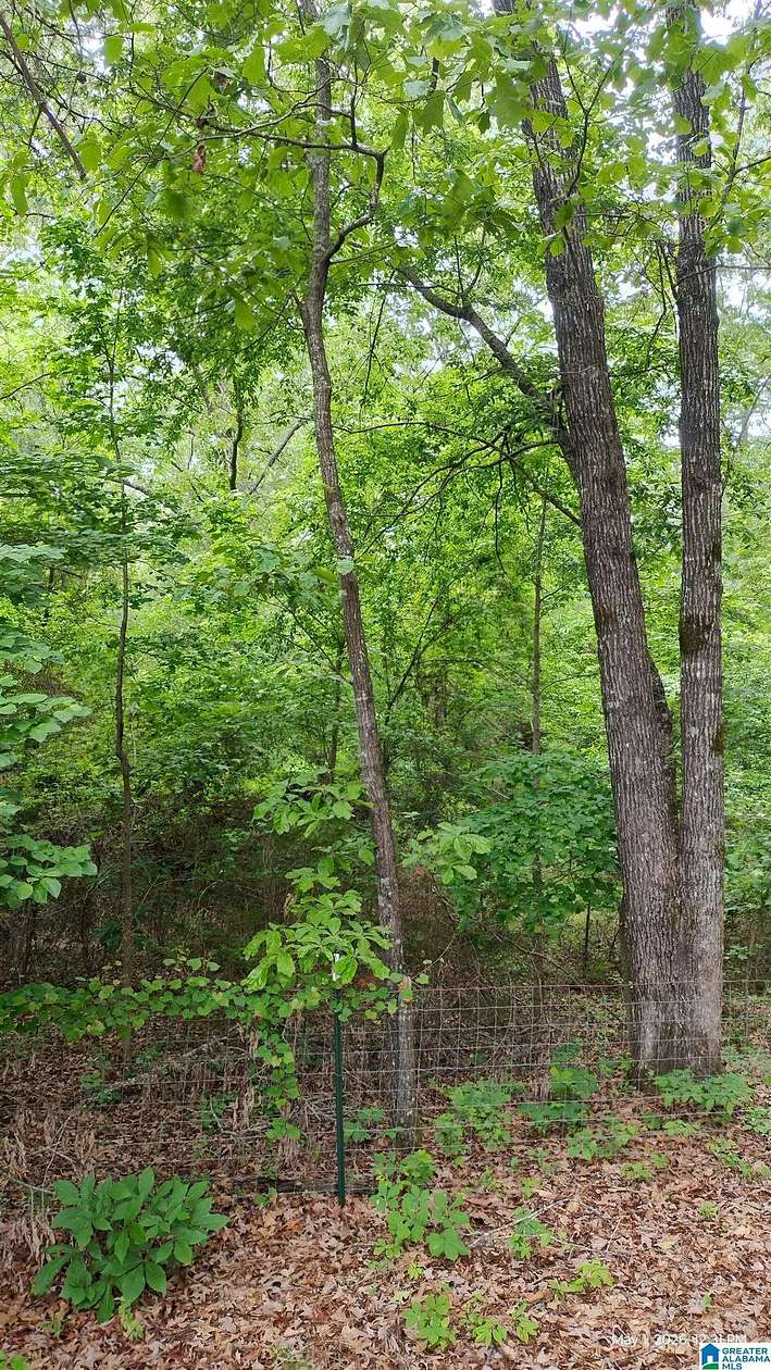 10 Acres of Residential Land for Sale in West Blocton, Alabama