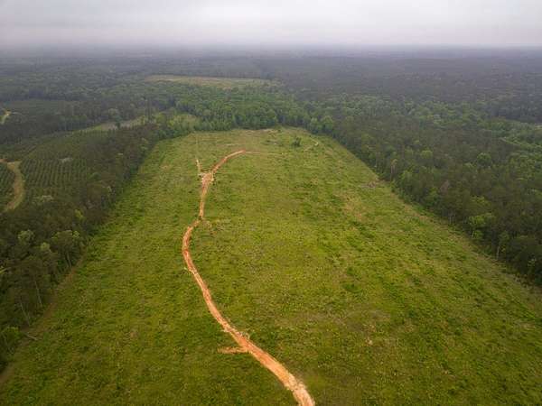 194 Acres of Recreational Land for Sale in Rusk, Texas