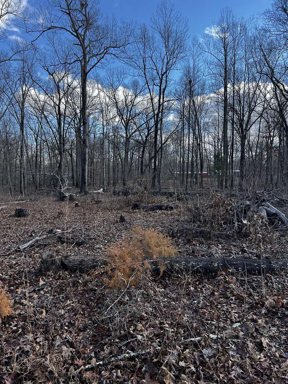 0.35 Acres of Residential Land for Sale in Beechgrove, Tennessee