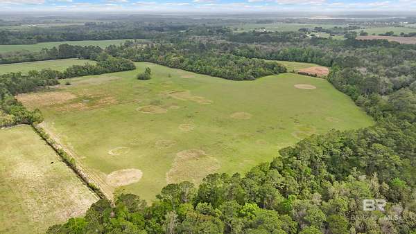 50 Acres of Land for Sale in Summerdale, Alabama