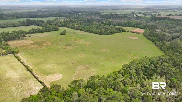 50 Acres of Land for Sale in Summerdale, Alabama