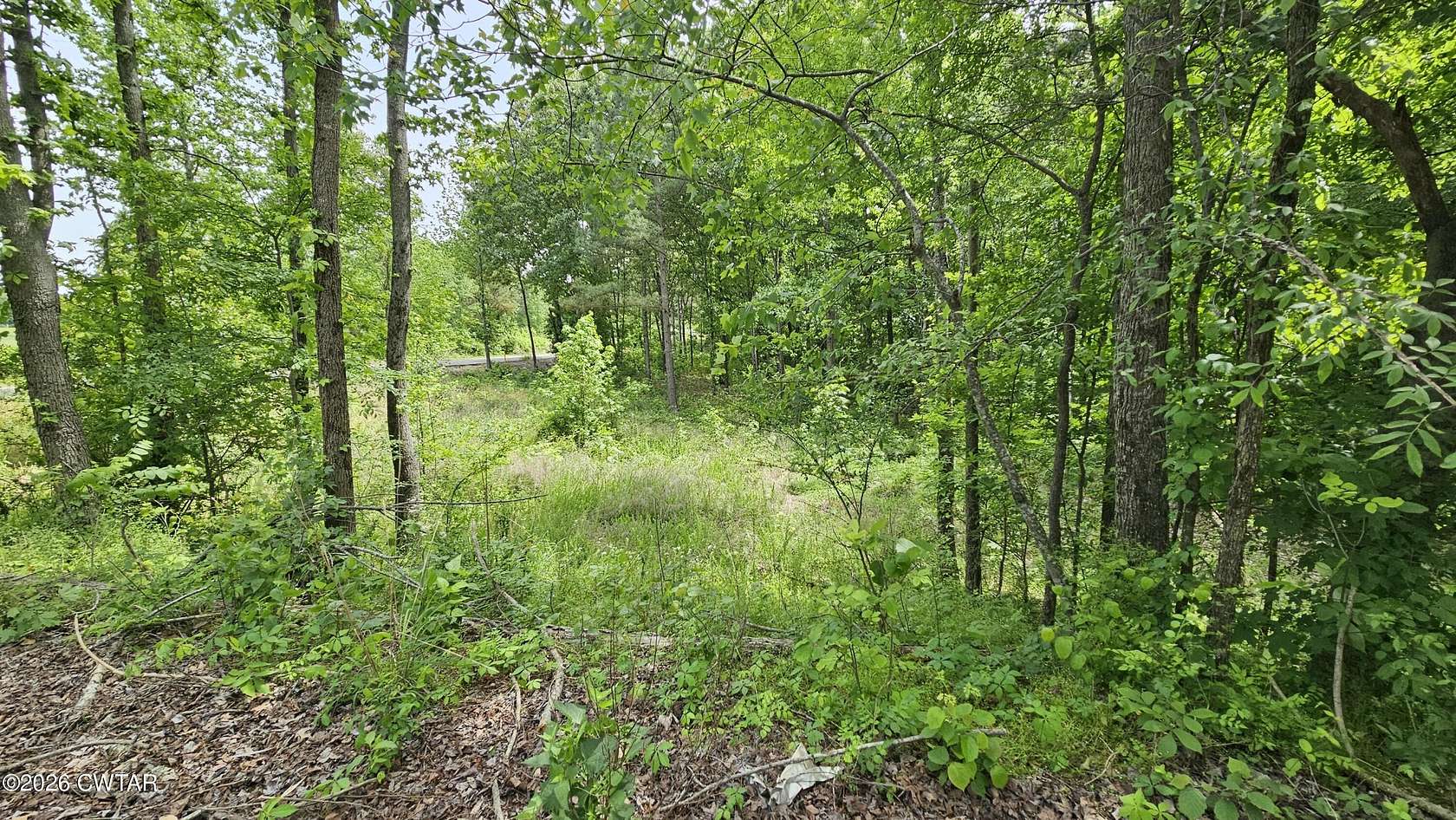15.5 Acres of Recreational Land for Sale in Bradford, Tennessee