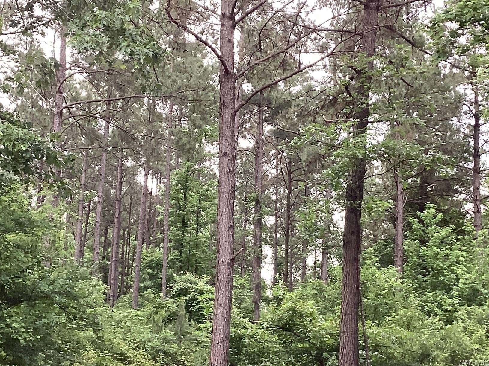 30 Acres of Land for Sale in Prescott, Arkansas