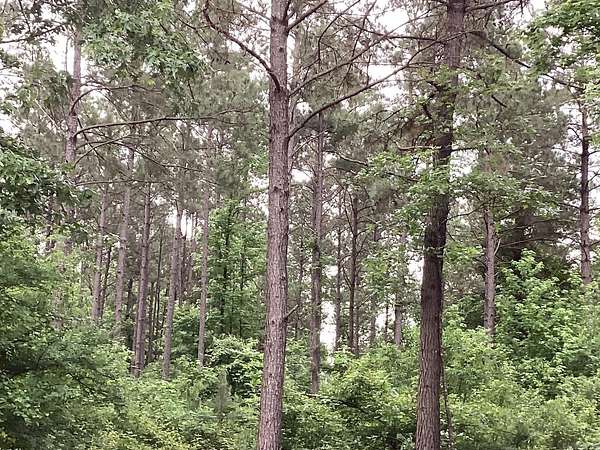 30 Acres of Land for Sale in Prescott, Arkansas