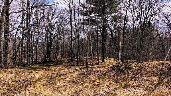 10 Acres of Recreational & Residential Land for Sale in Laporte, Minnesota