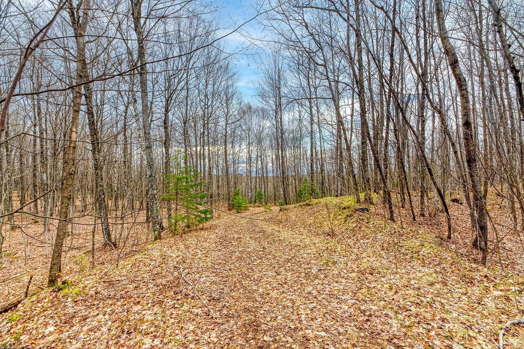 17.4 Acres of Land for Sale in Winchester, Wisconsin