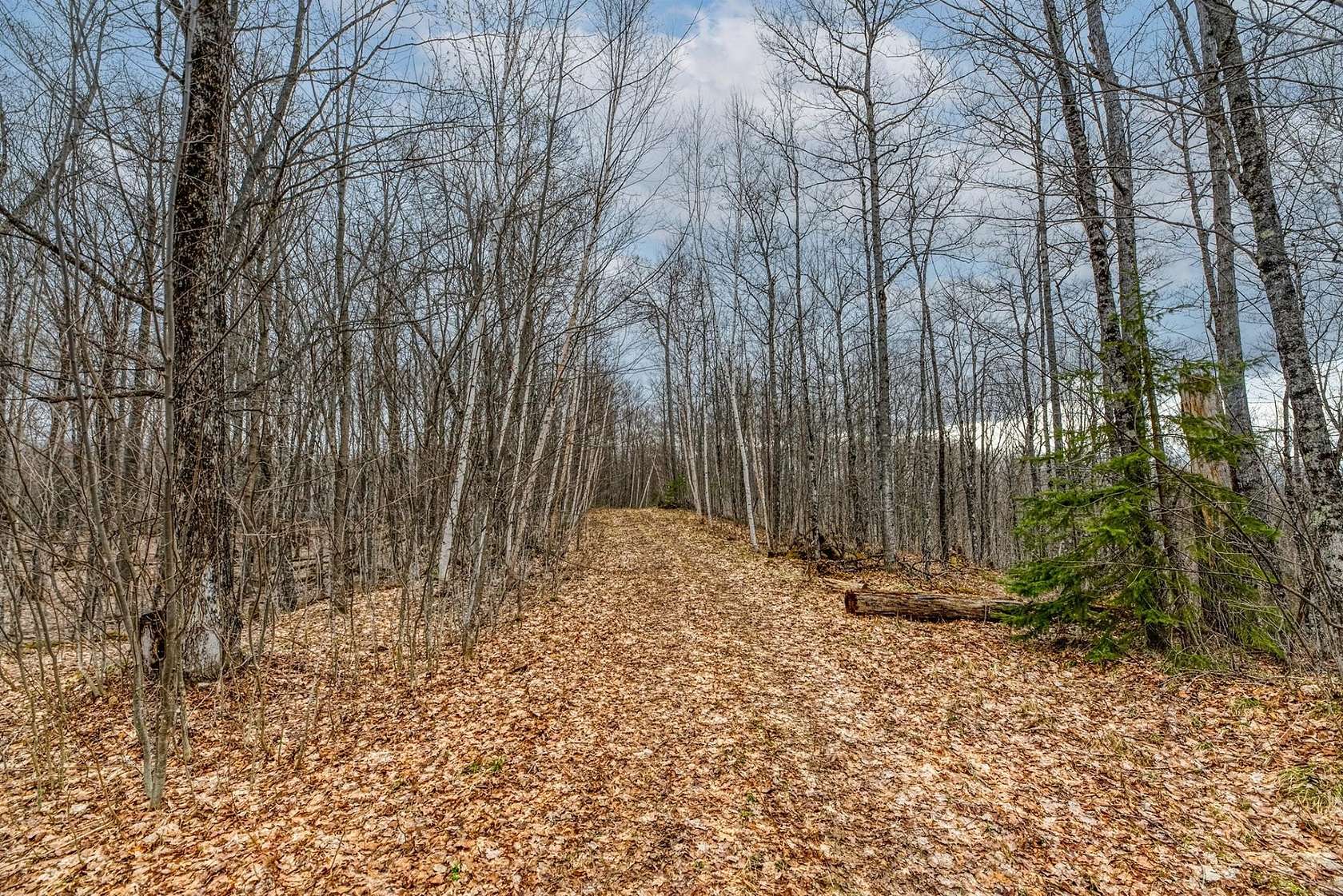 2.58 Acres of Residential Land for Sale in Winchester, Wisconsin