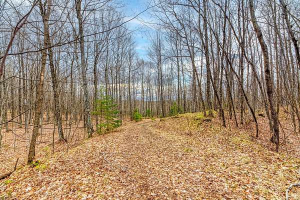 22.1 Acres of Land for Sale in Winchester, Wisconsin