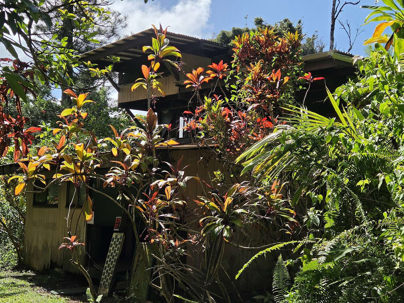2.57 Acres of Land with Home for Sale in Pahoa, Hawaii