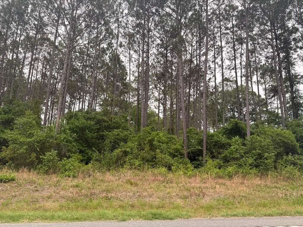 4.62 Acres of Residential Land for Sale in Norman Park, Georgia