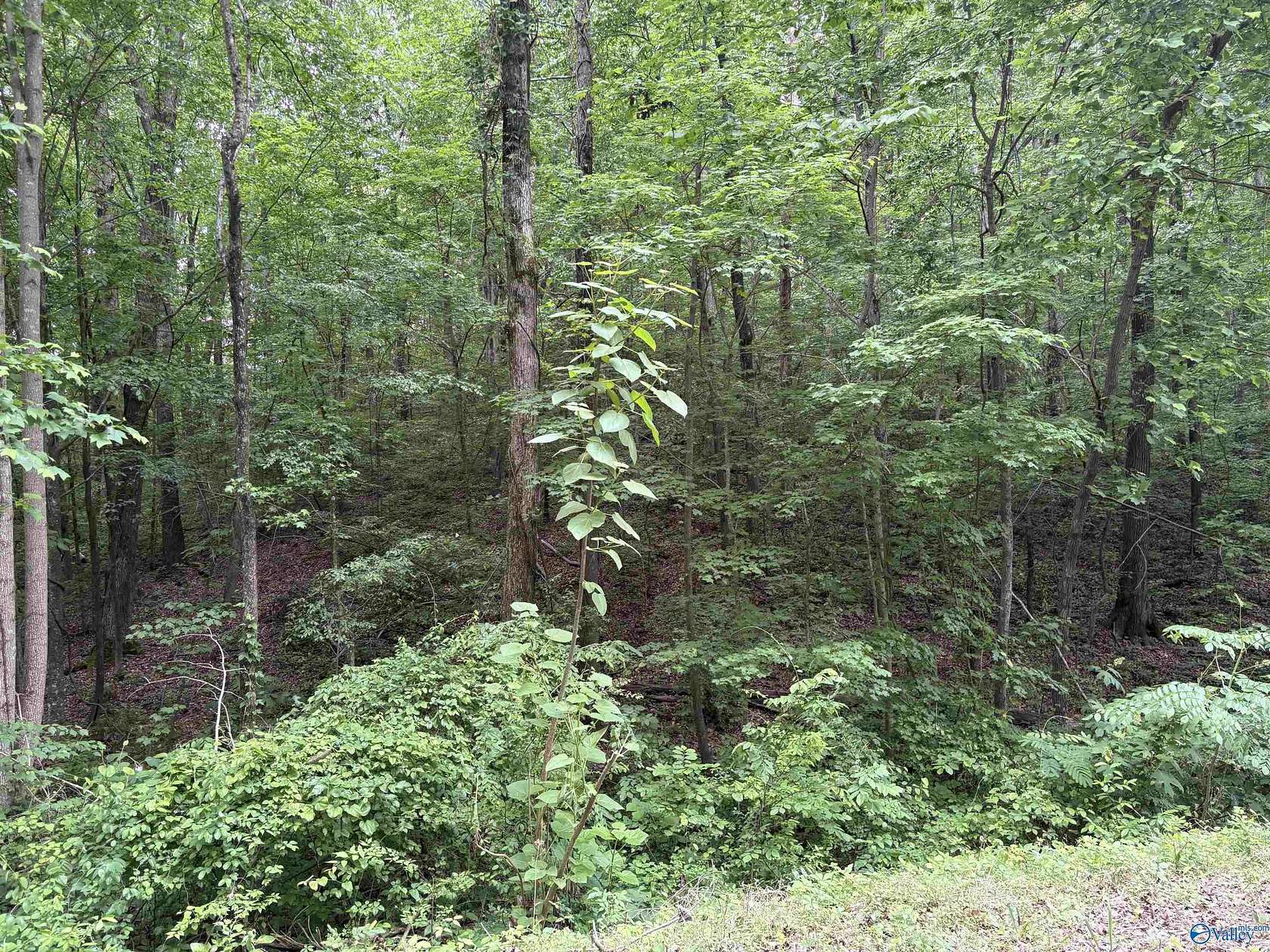 1.84 Acres of Land for Sale in Falkville, Alabama