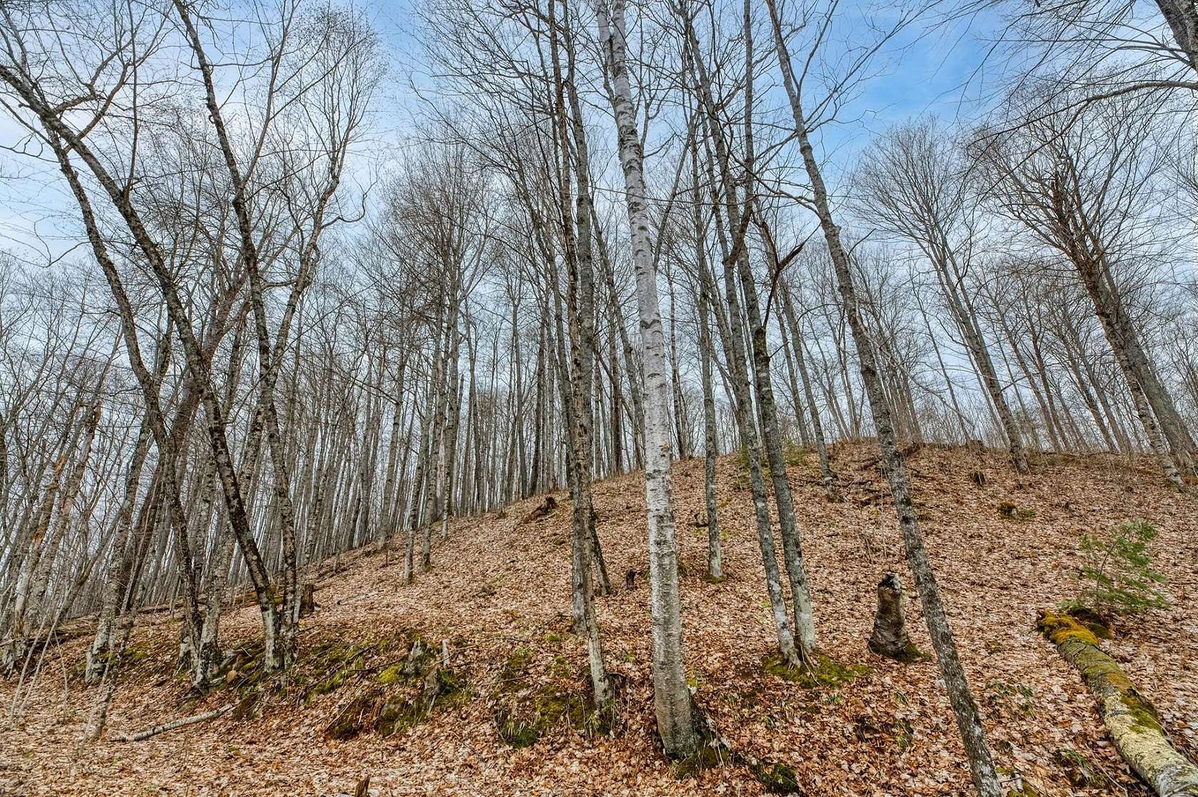 2.2 Acres of Residential Land for Sale in Winchester, Wisconsin