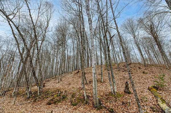 2.2 Acres of Residential Land for Sale in Winchester, Wisconsin