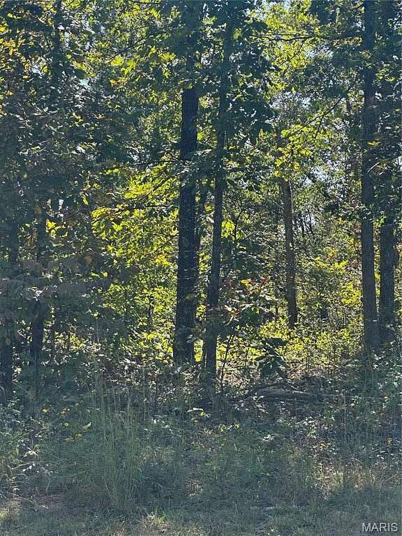 17.3 Acres of Land for Sale in Doniphan, Missouri
