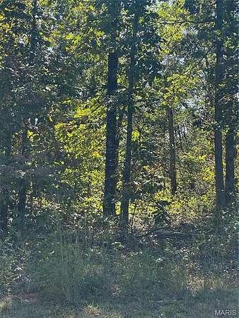 17.3 Acres of Land for Sale in Doniphan, Missouri