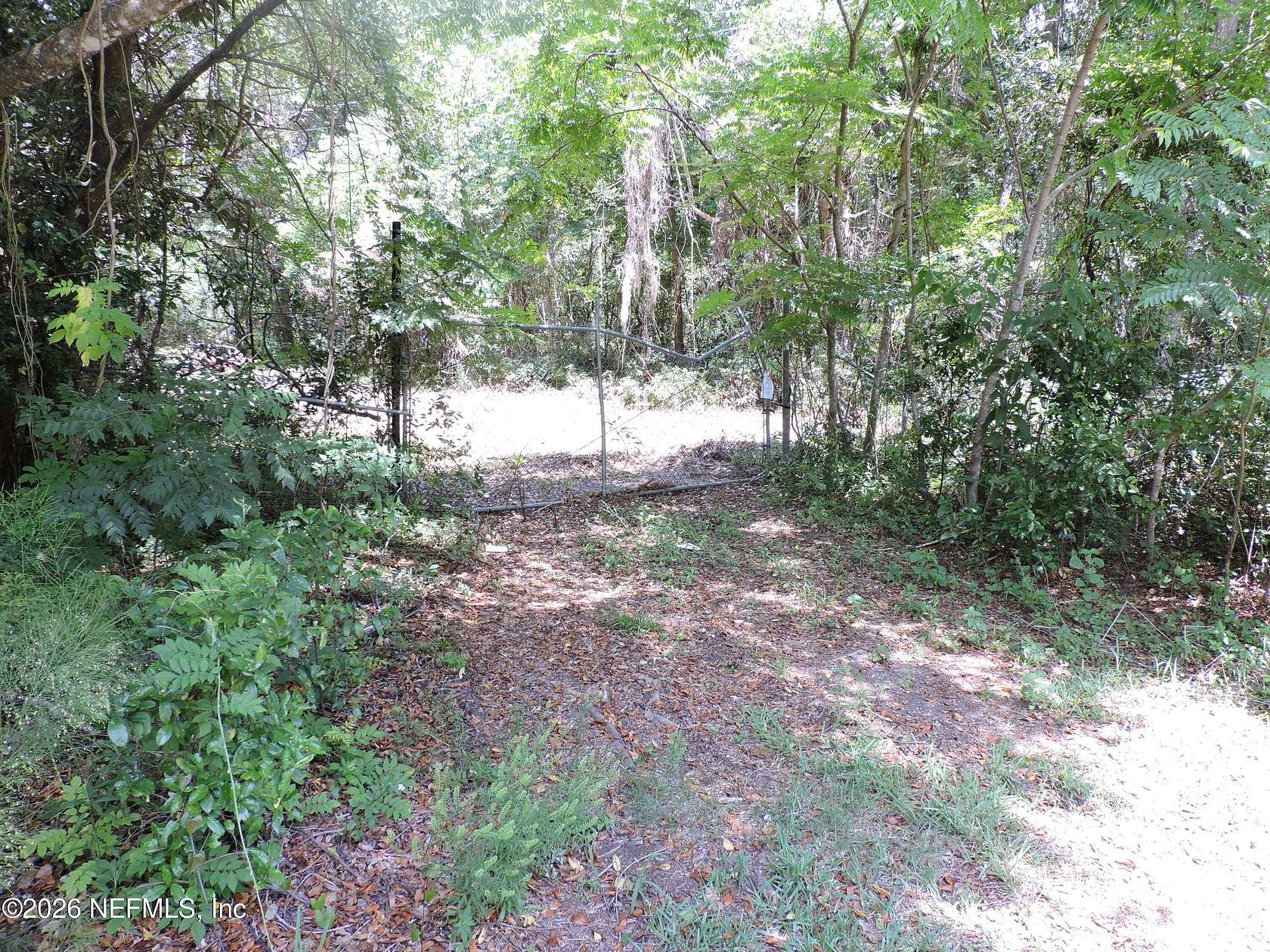 17.2 Acres of Land for Sale in Green Cove Springs, Florida