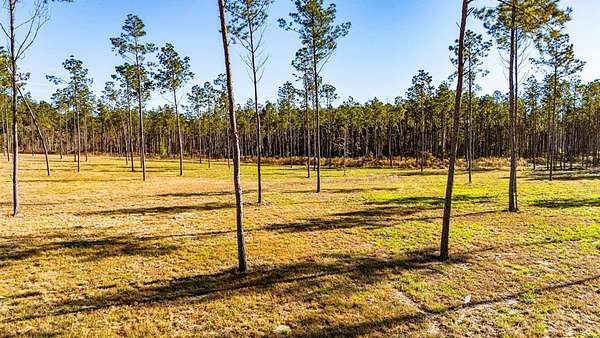 5.1 Acres of Land for Sale in Moscow, Texas