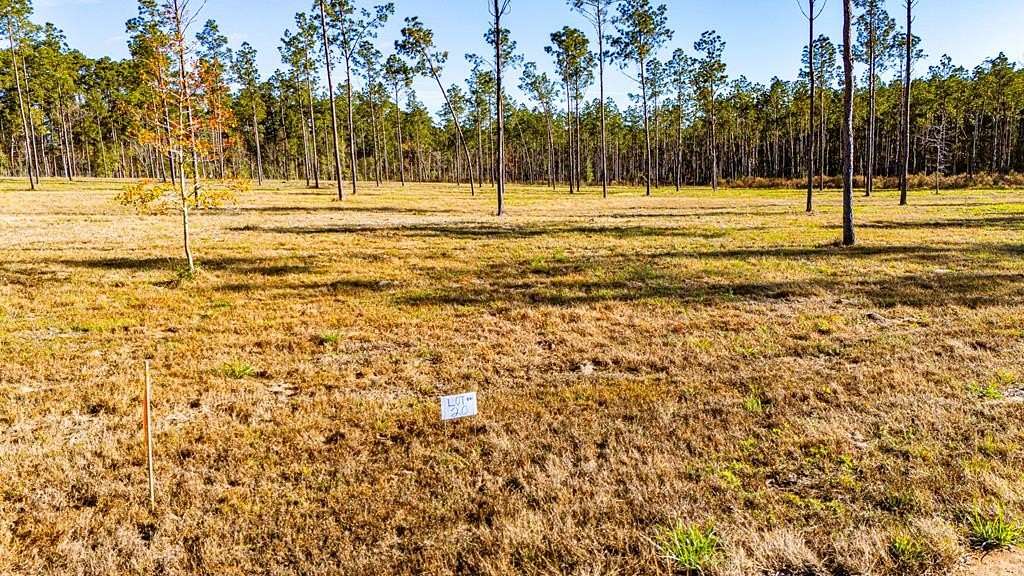 11.1 Acres of Land for Sale in Moscow, Texas