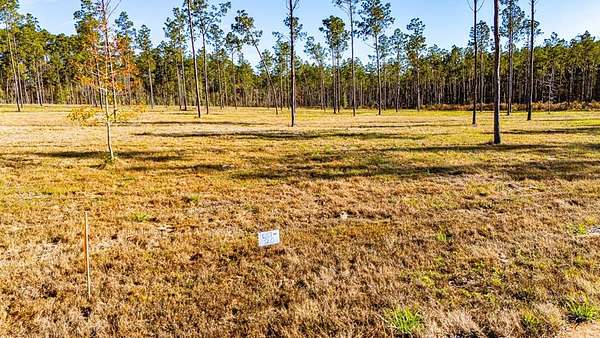 11.1 Acres of Land for Sale in Moscow, Texas
