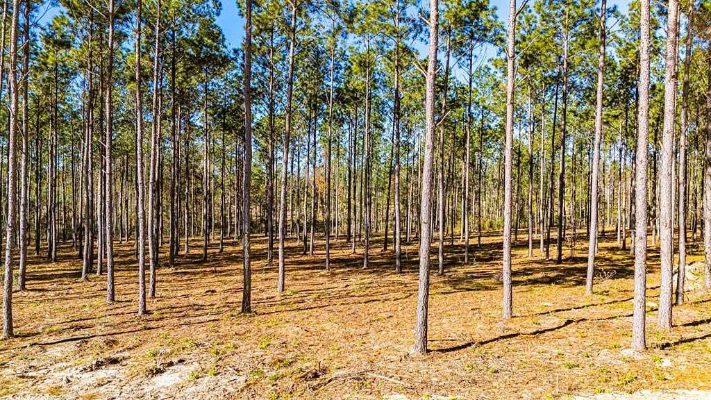 5.7 Acres of Land for Sale in Moscow, Texas